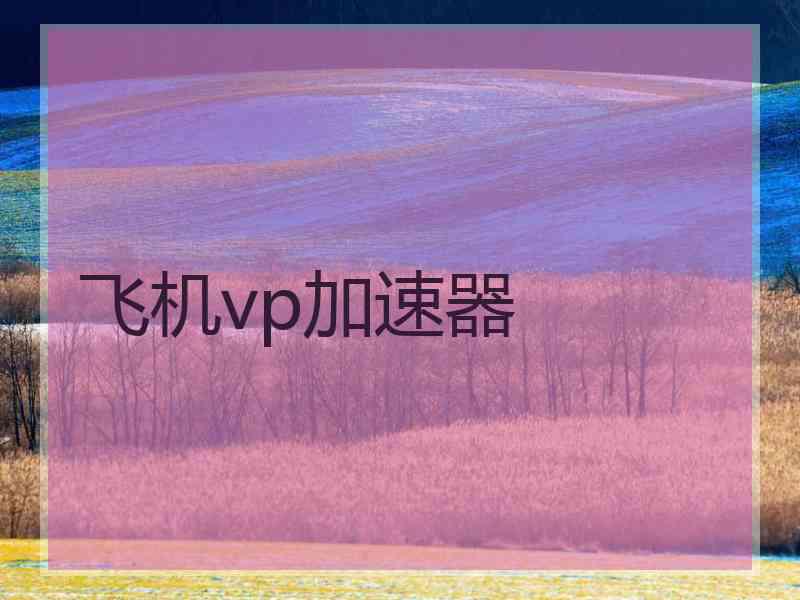 飞机vp加速器