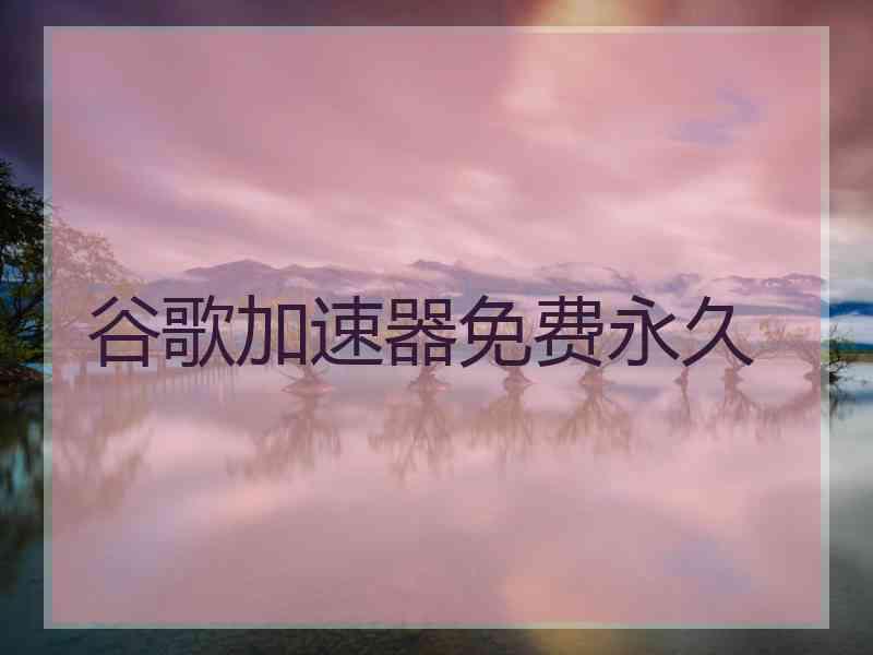 谷歌加速器免费永久