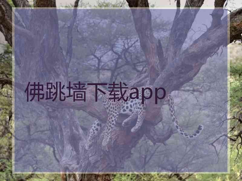 佛跳墙下载app