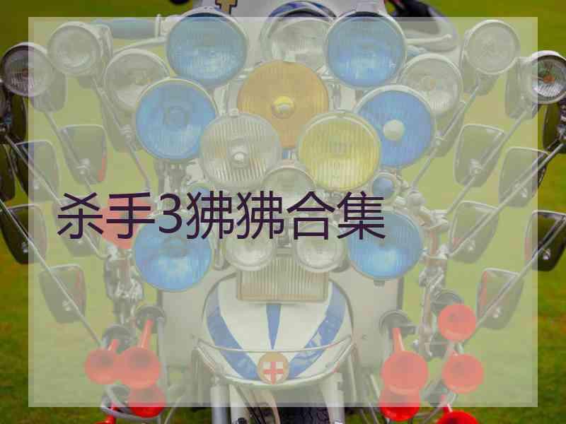 杀手3狒狒合集