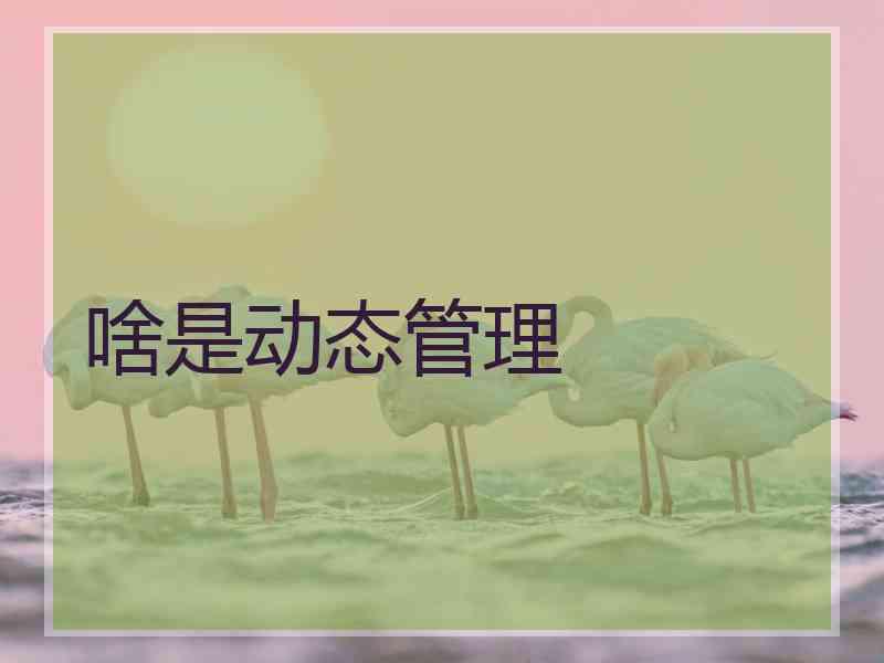 啥是动态管理
