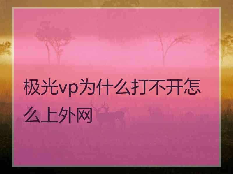 极光vp为什么打不开怎么上外网