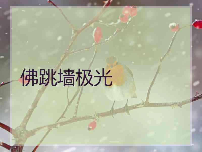 佛跳墙极光