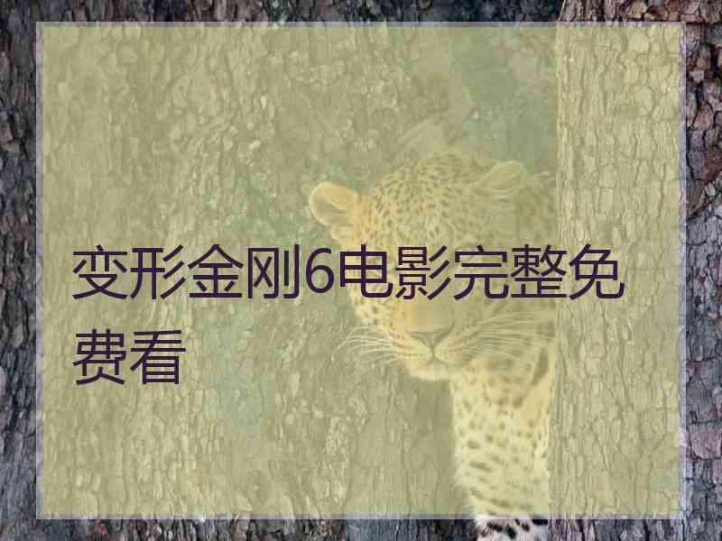 变形金刚6电影完整免费看