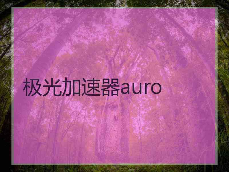 极光加速器auro