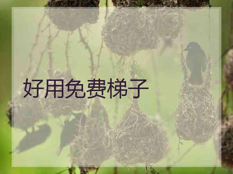 好用免费梯子