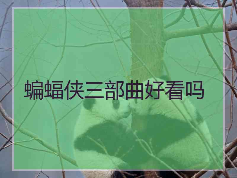 蝙蝠侠三部曲好看吗