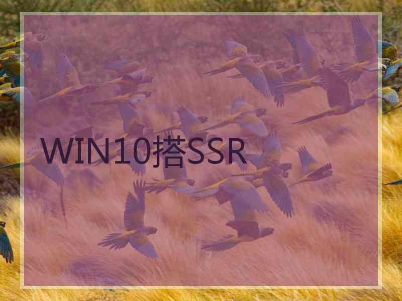 WIN10搭SSR