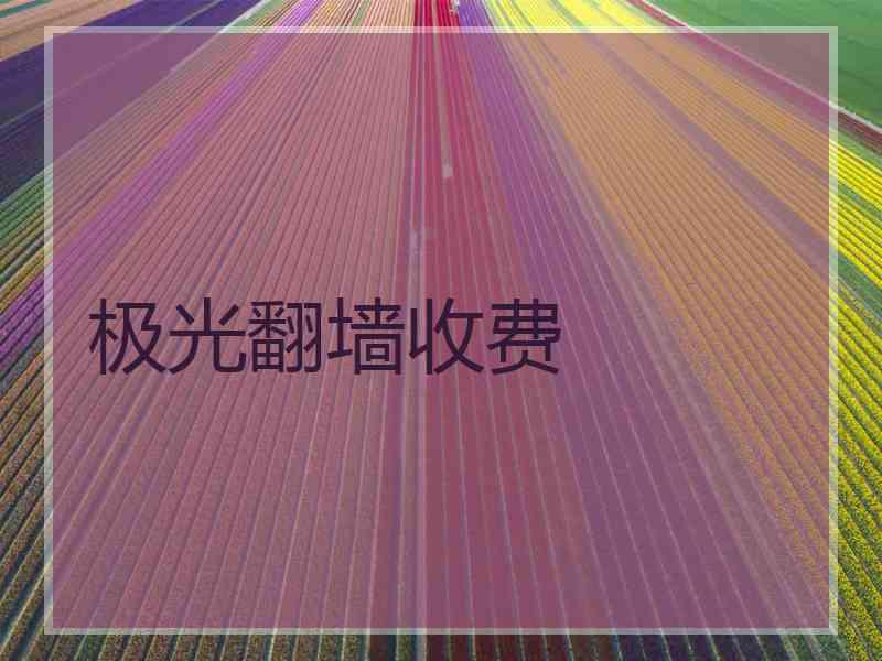 极光翻墙收费