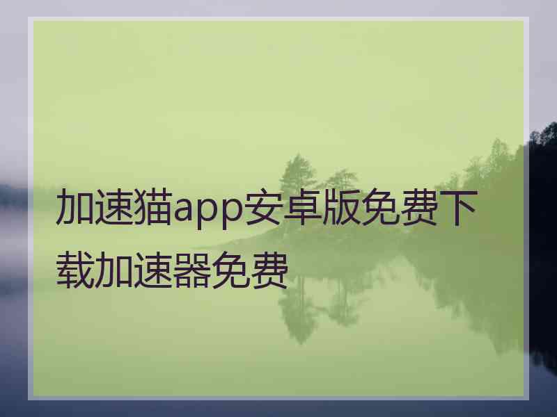 加速猫app安卓版免费下载加速器免费