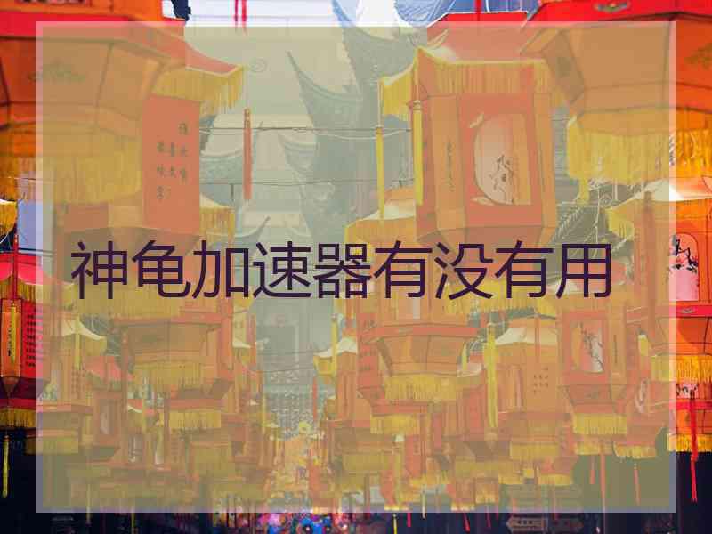 神龟加速器有没有用