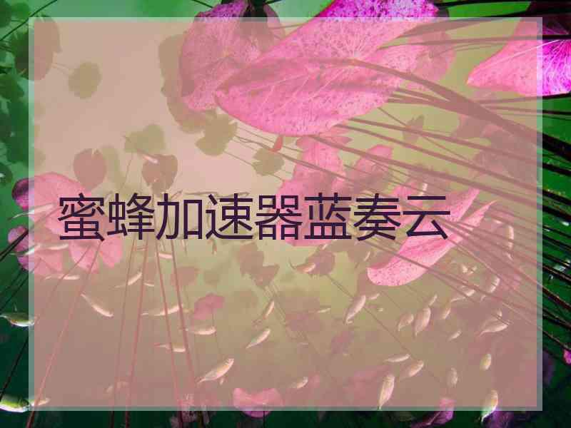 蜜蜂加速器蓝奏云