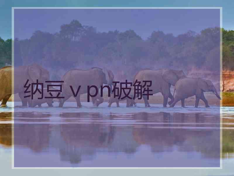 纳豆ⅴpn破解