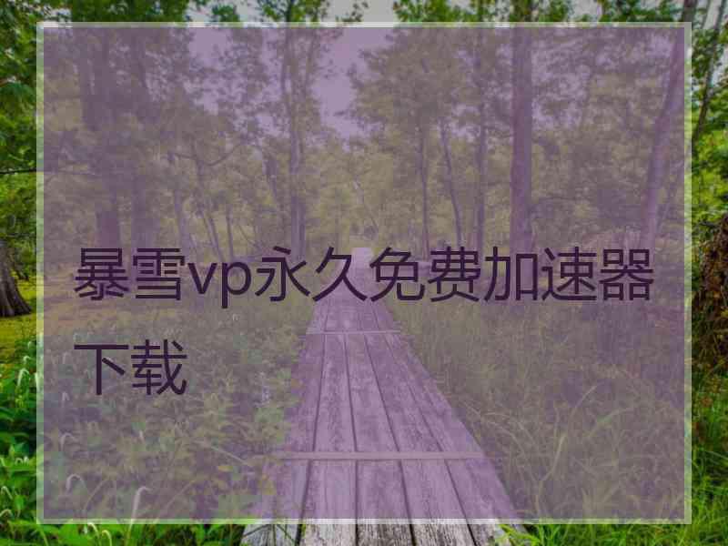 暴雪vp永久免费加速器下载