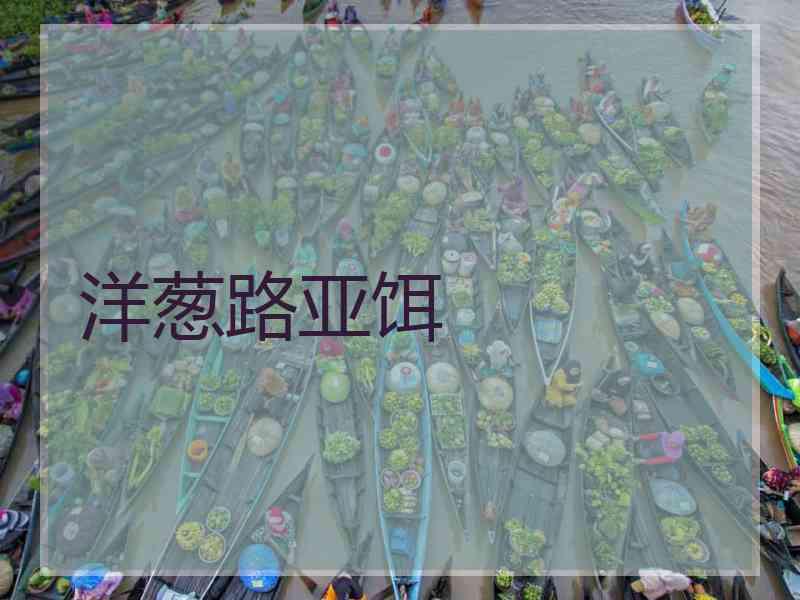 洋葱路亚饵