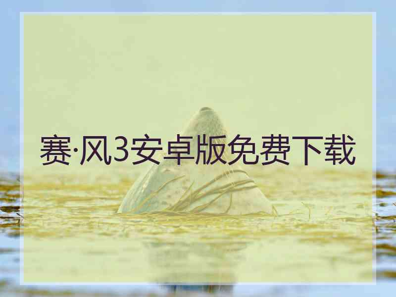 赛·风3安卓版免费下载