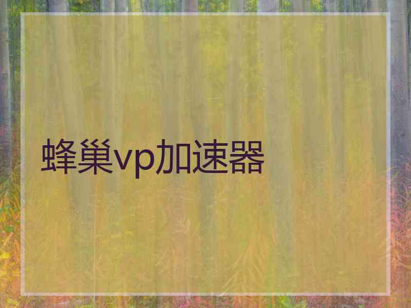蜂巢vp加速器