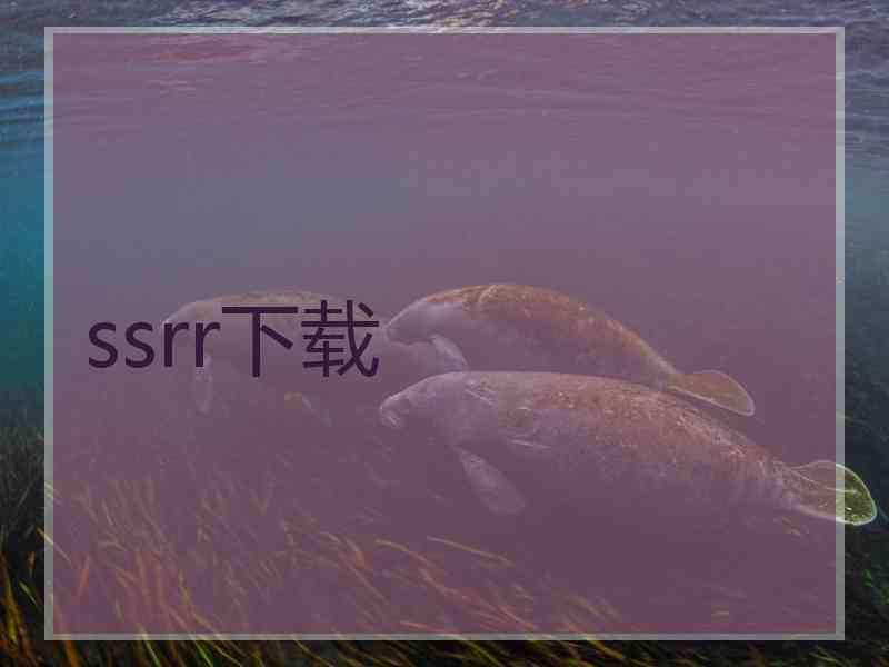 ssrr下载