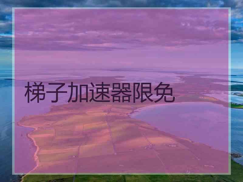 梯子加速器限免