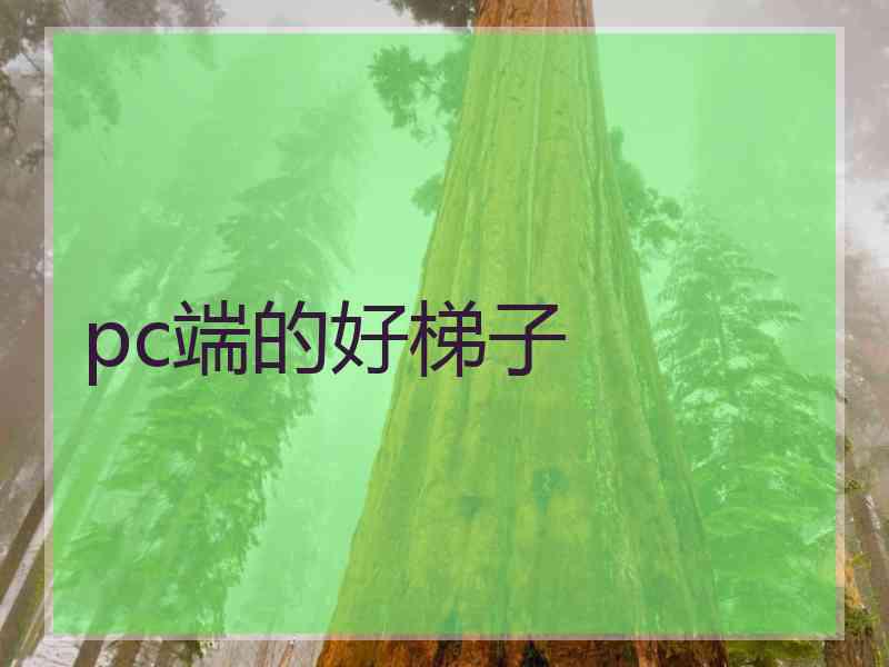 pc端的好梯子