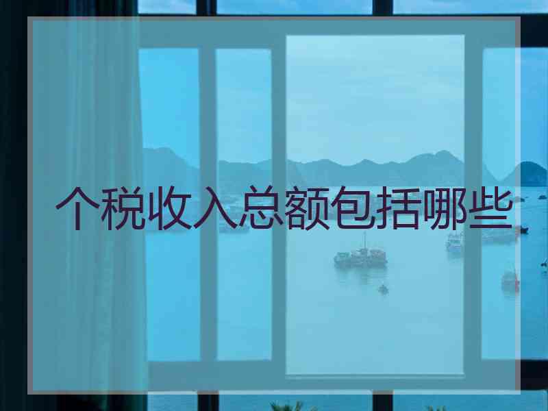 个税收入总额包括哪些