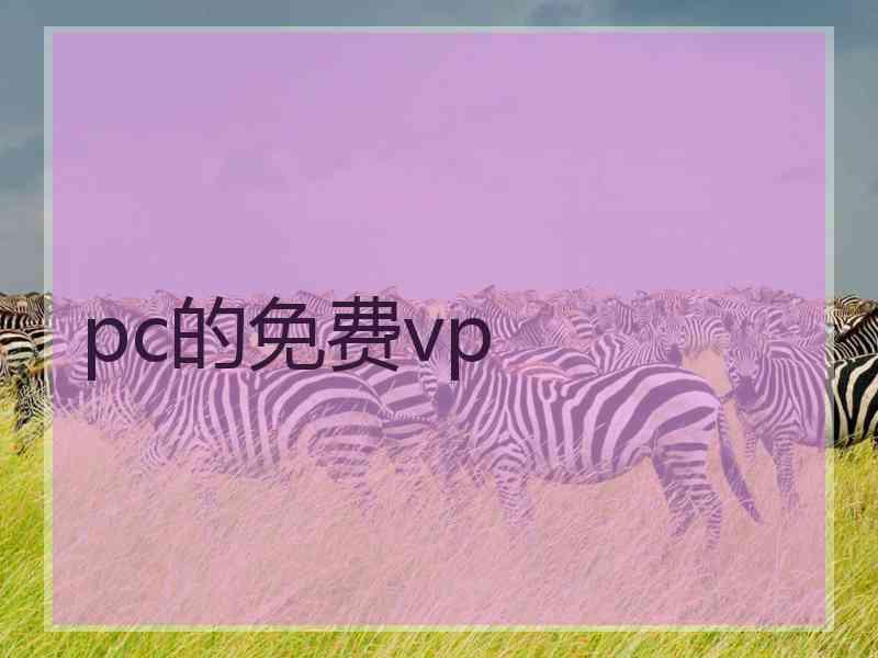pc的免费vp
