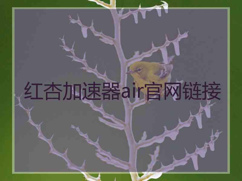 红杏加速器air官网链接