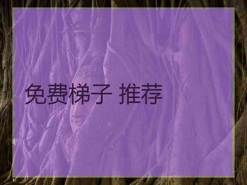 免费梯子 推荐