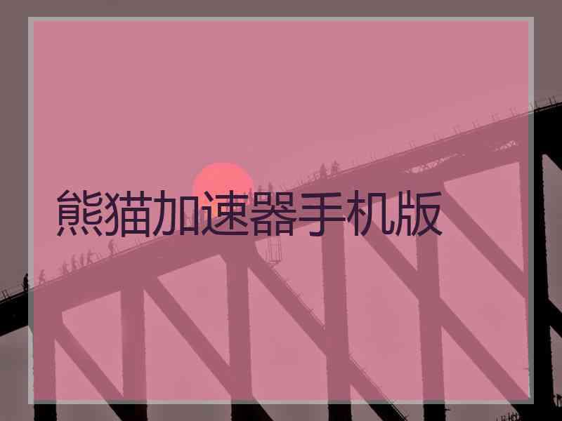 熊猫加速器手机版