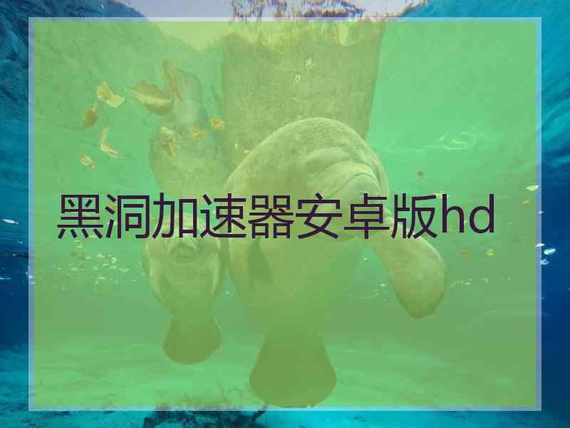 黑洞加速器安卓版hd