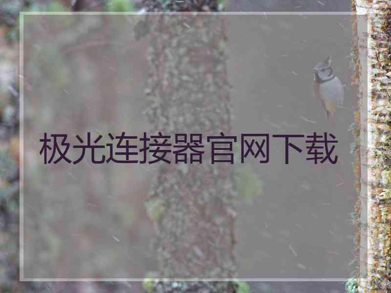 极光连接器官网下载
