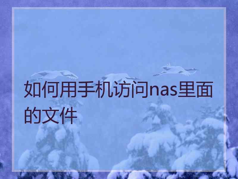 如何用手机访问nas里面的文件