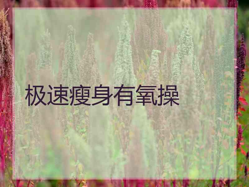 极速瘦身有氧操