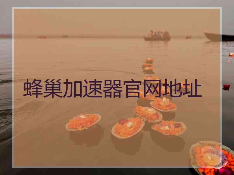 蜂巢加速器官网地址