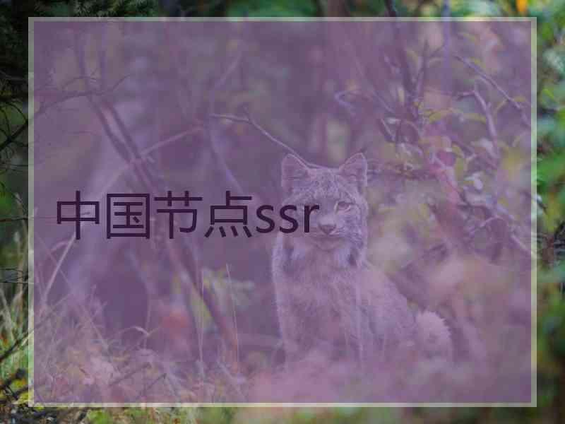 中国节点ssr