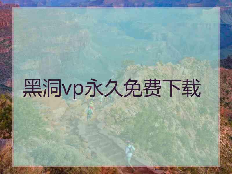黑洞vp永久免费下载