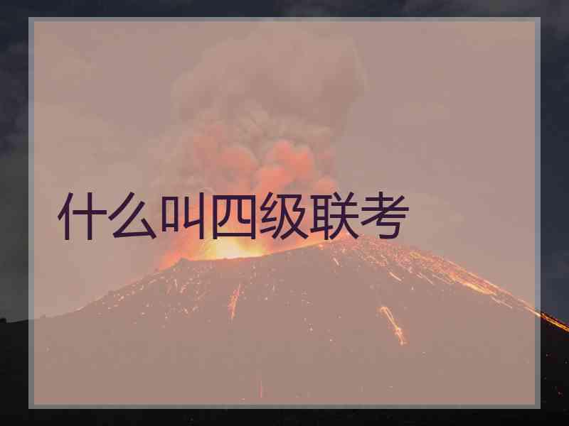 什么叫四级联考