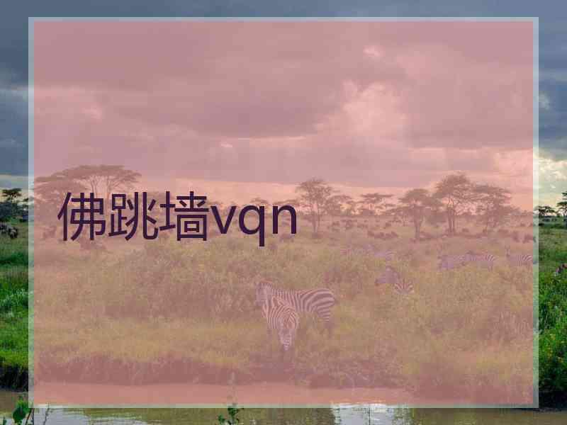 佛跳墙vqn