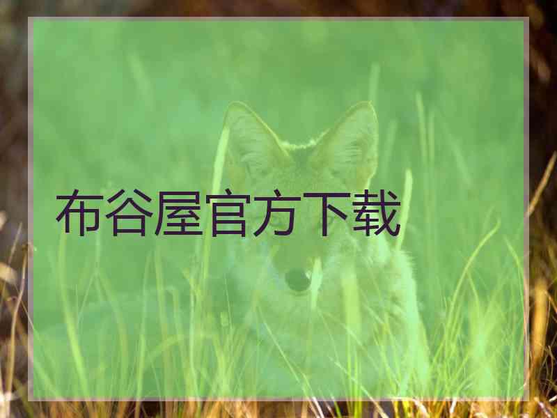 布谷屋官方下载