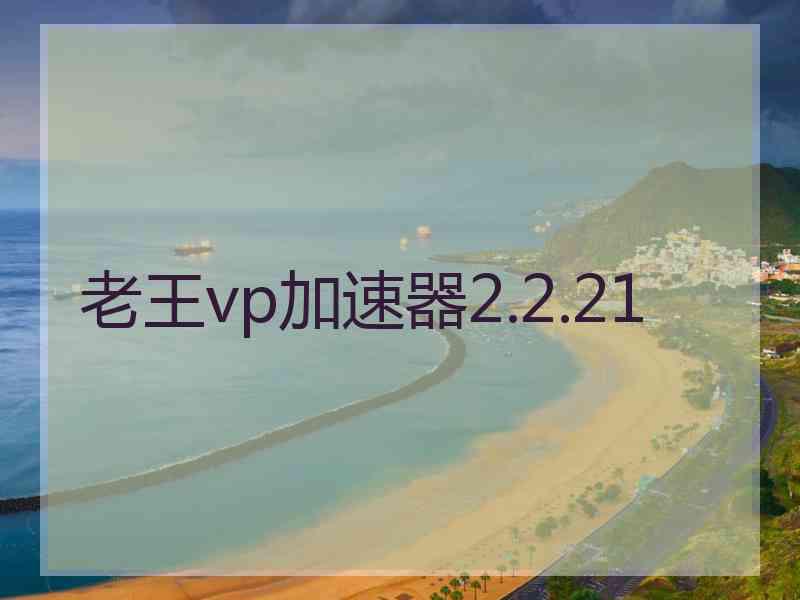 老王vp加速器2.2.21