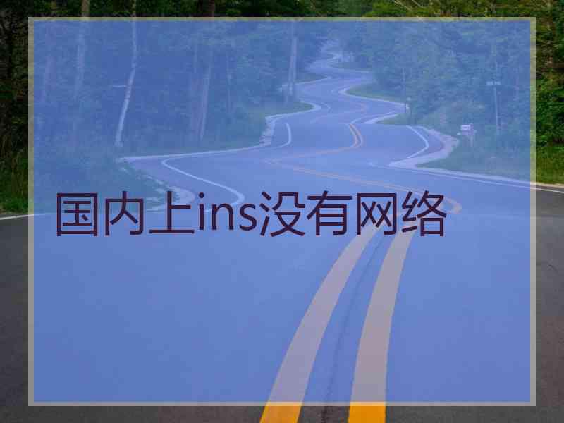 国内上ins没有网络