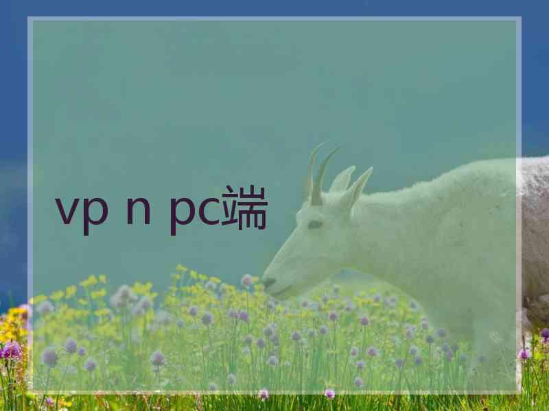 vp n pc端