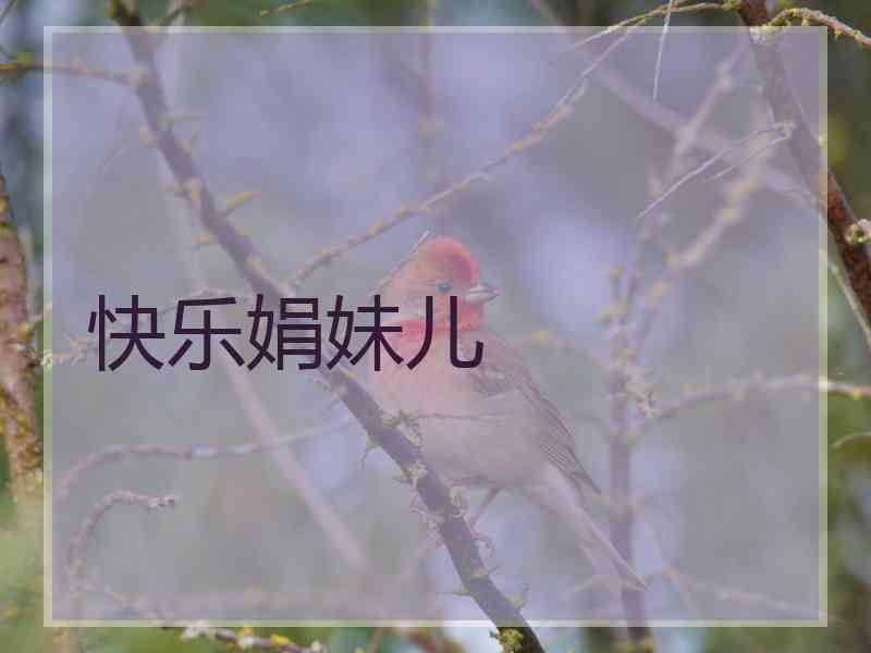 快乐娟妹儿