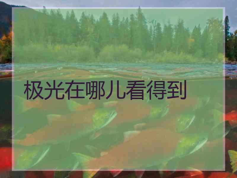 极光在哪儿看得到