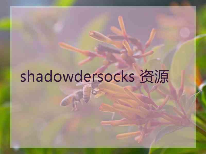 shadowdersocks 资源