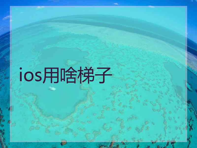 ios用啥梯子