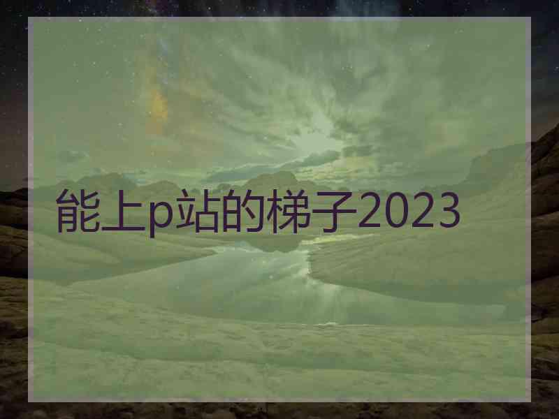 能上p站的梯子2023