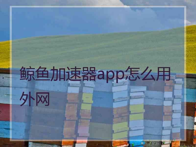 鲸鱼加速器app怎么用外网