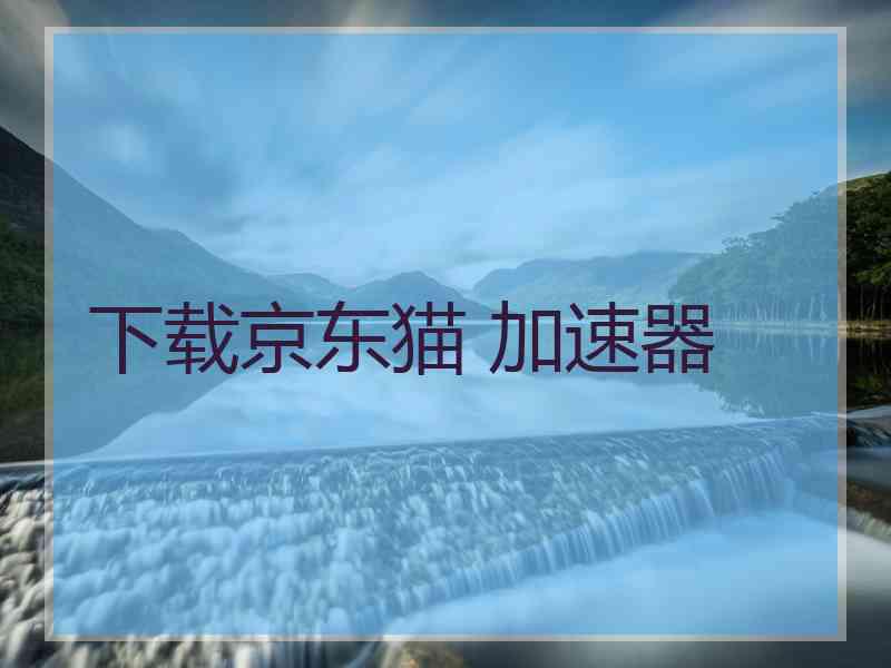 下载京东猫 加速器