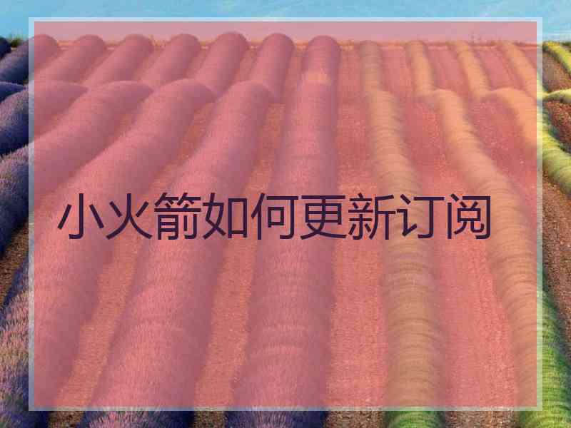 小火箭如何更新订阅